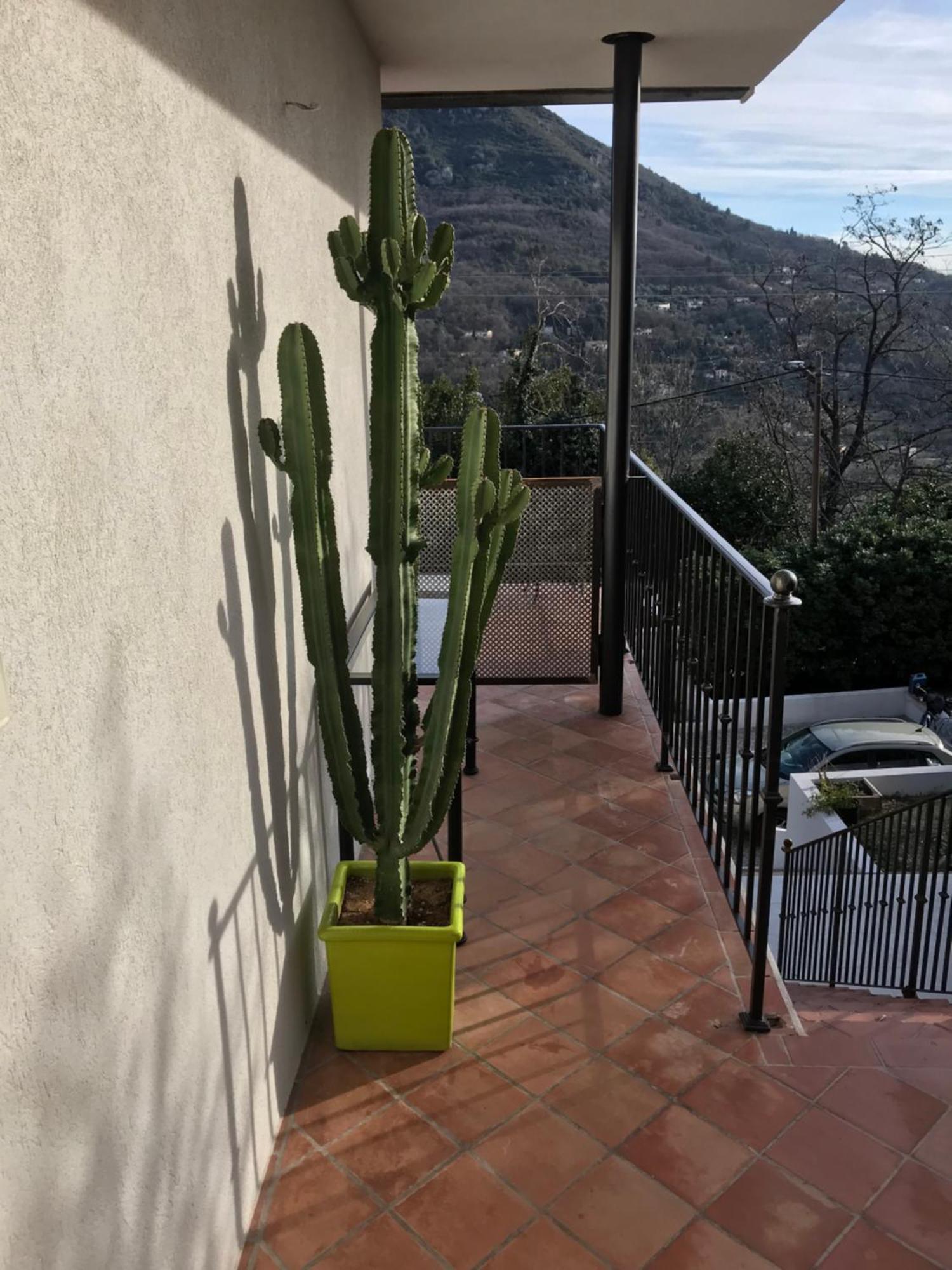 Haut De Villa Avec Vue - Le Bar Sur Loup 06 Exterior foto